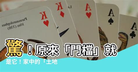 門止是什麼